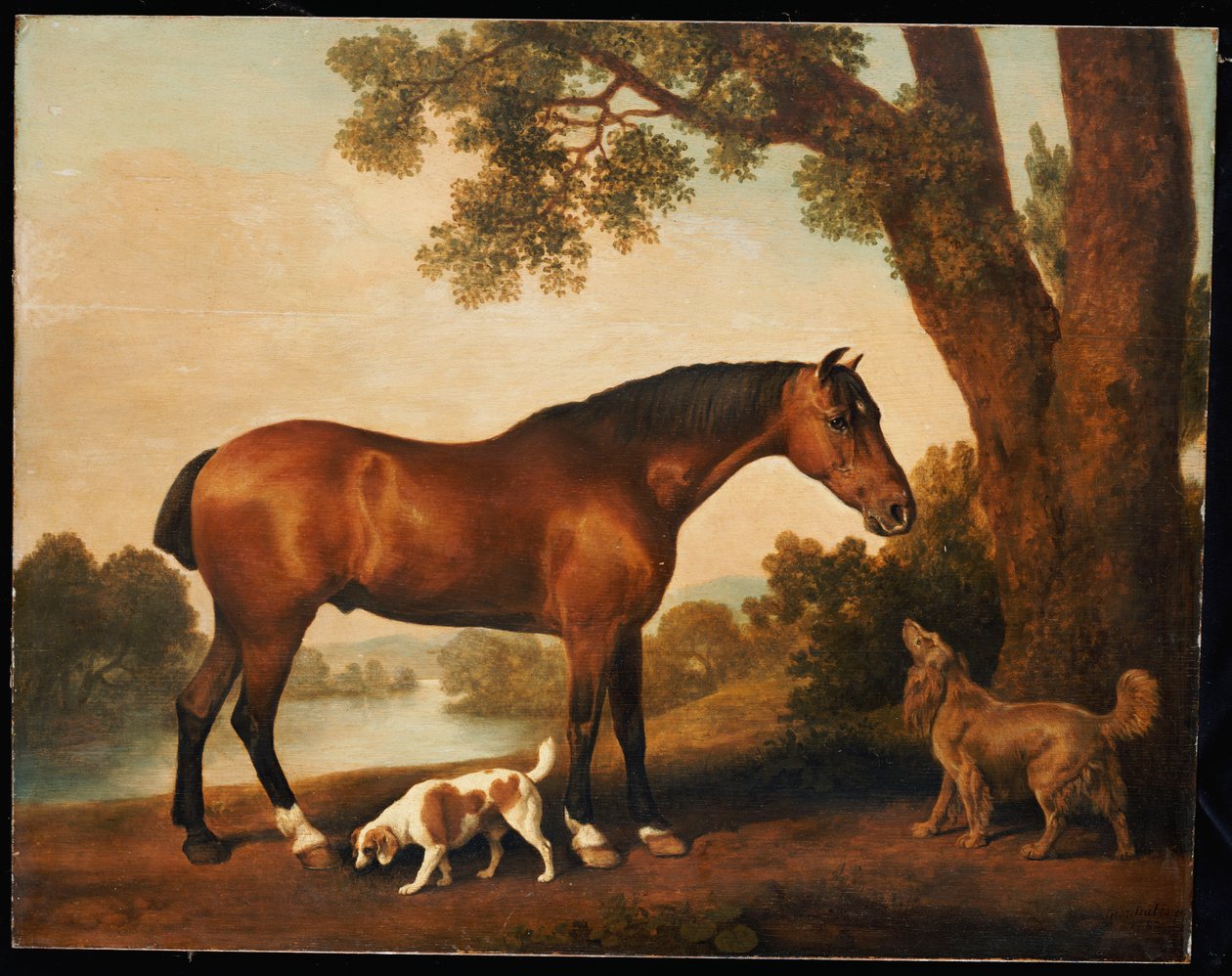 Imagem desconhecida de George Stubbs