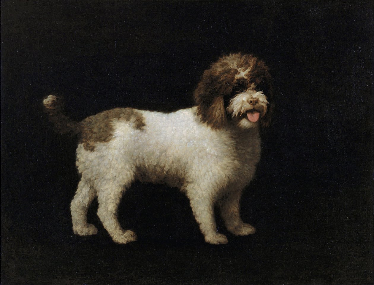 Spaniel de água de George Stubbs