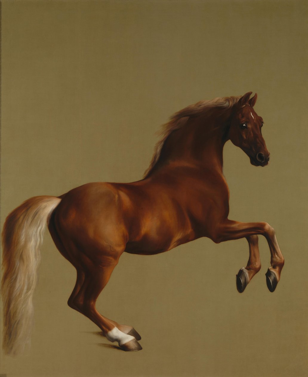 Whistlejacket de George Stubbs