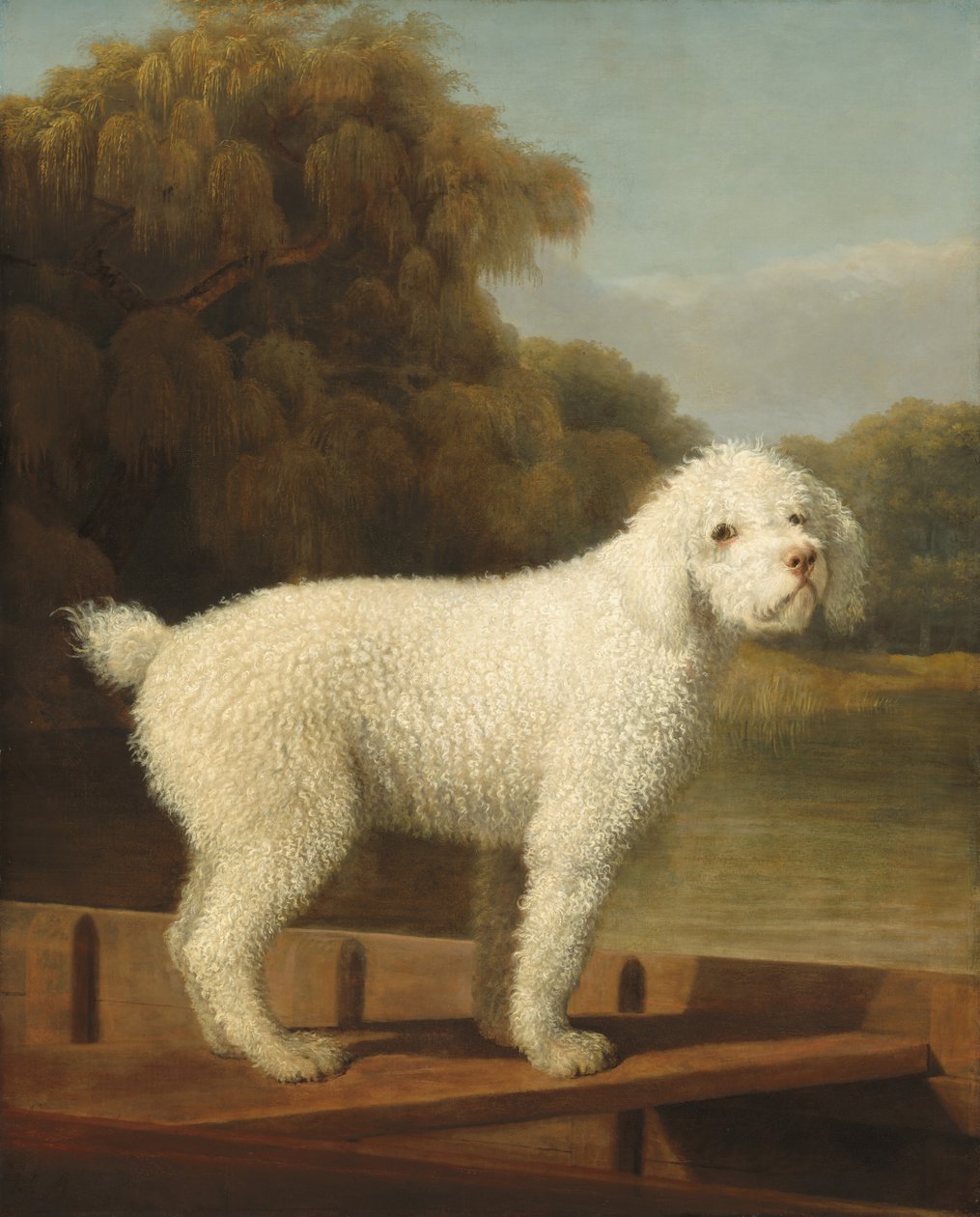Poodle Branco em um Punt de George Stubbs