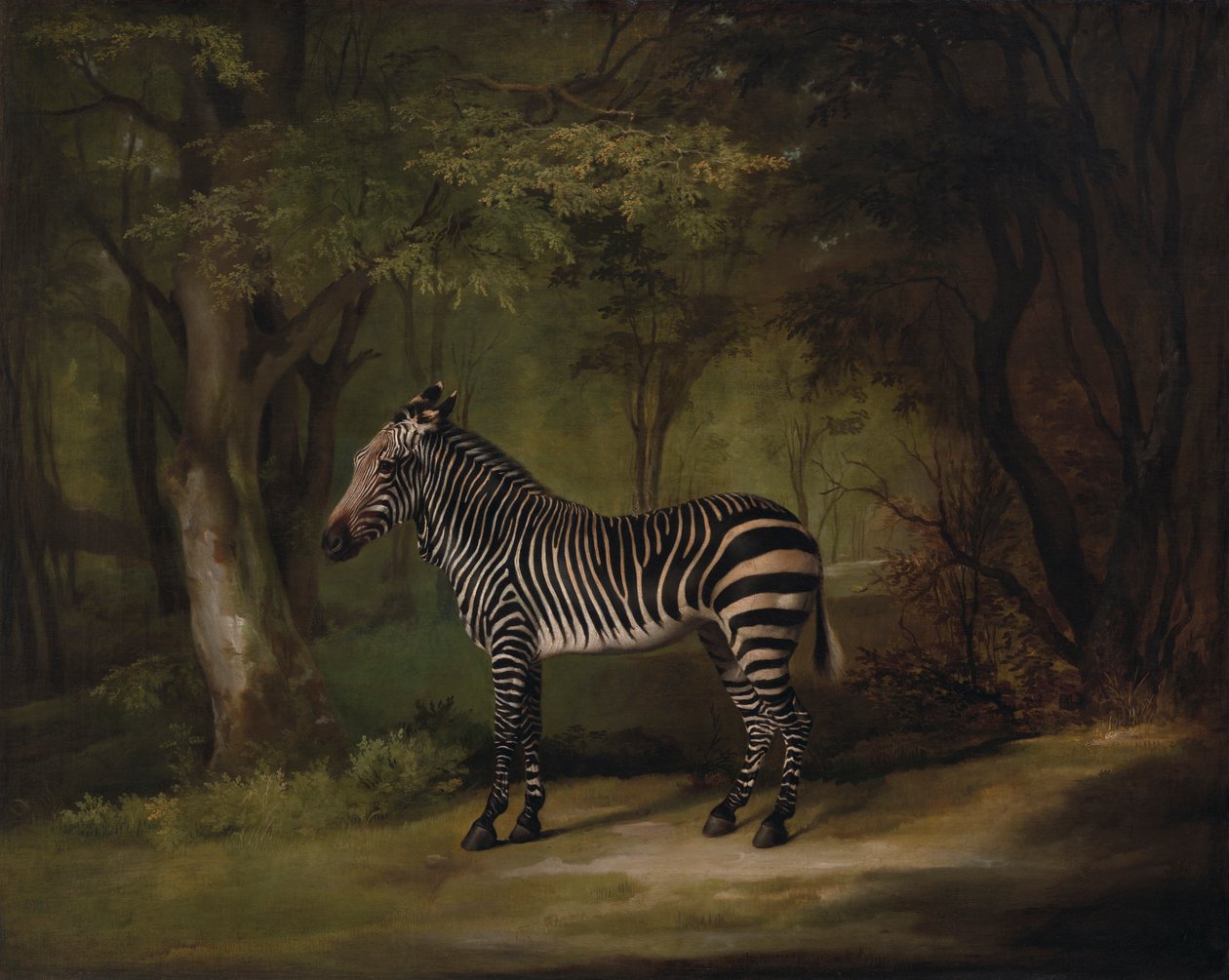 Zebra de George Stubbs