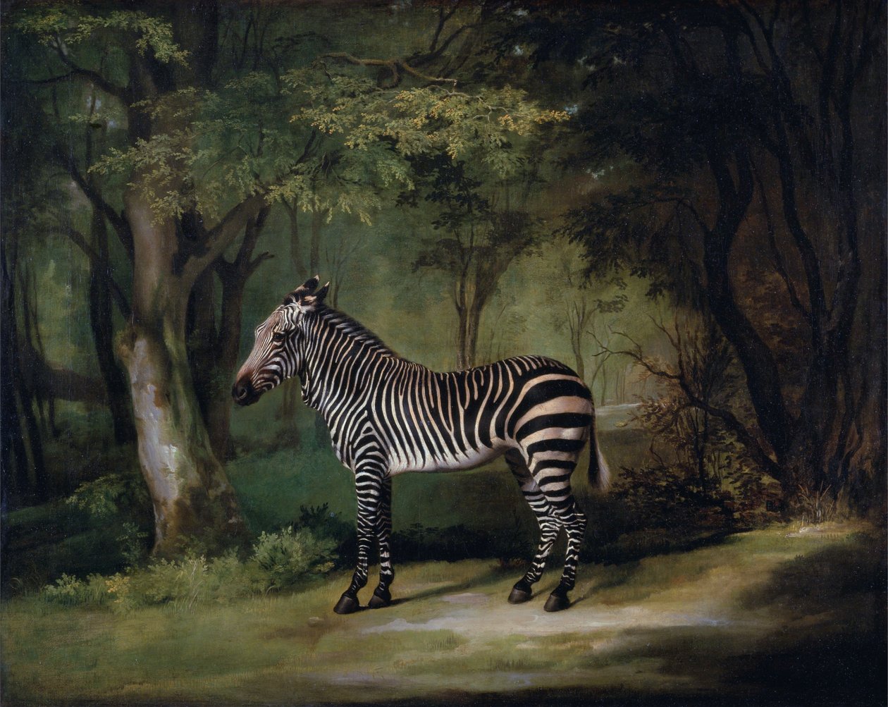 Zebra de George Stubbs