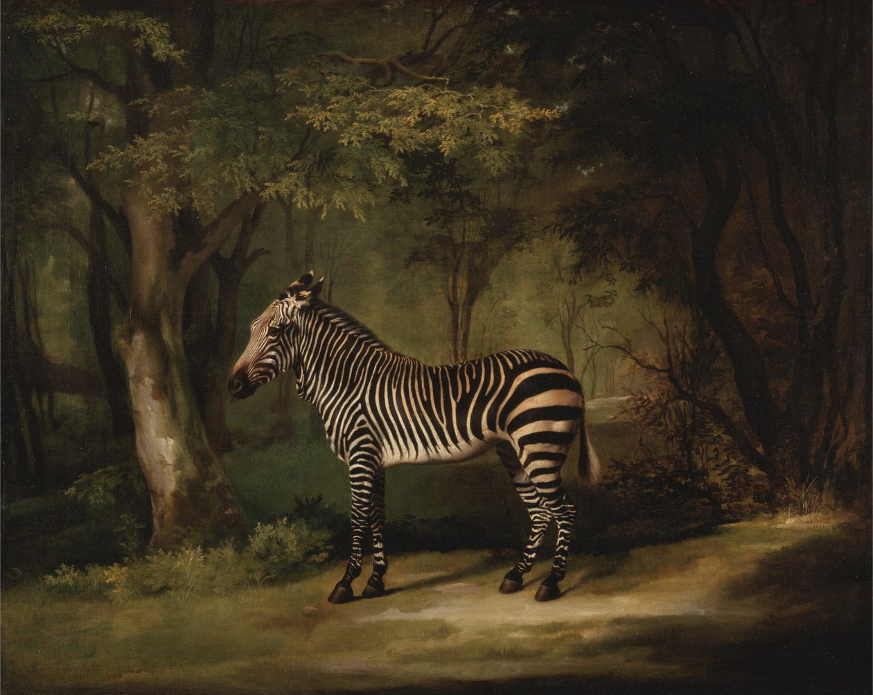 Zebra de George Stubbs