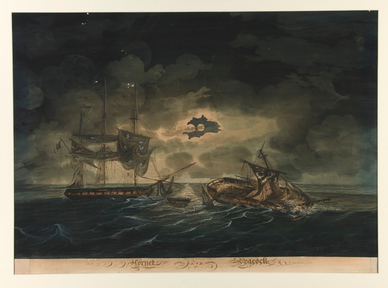 O Hornet (EUA) e o Peacock (Britânico) de George Thresher