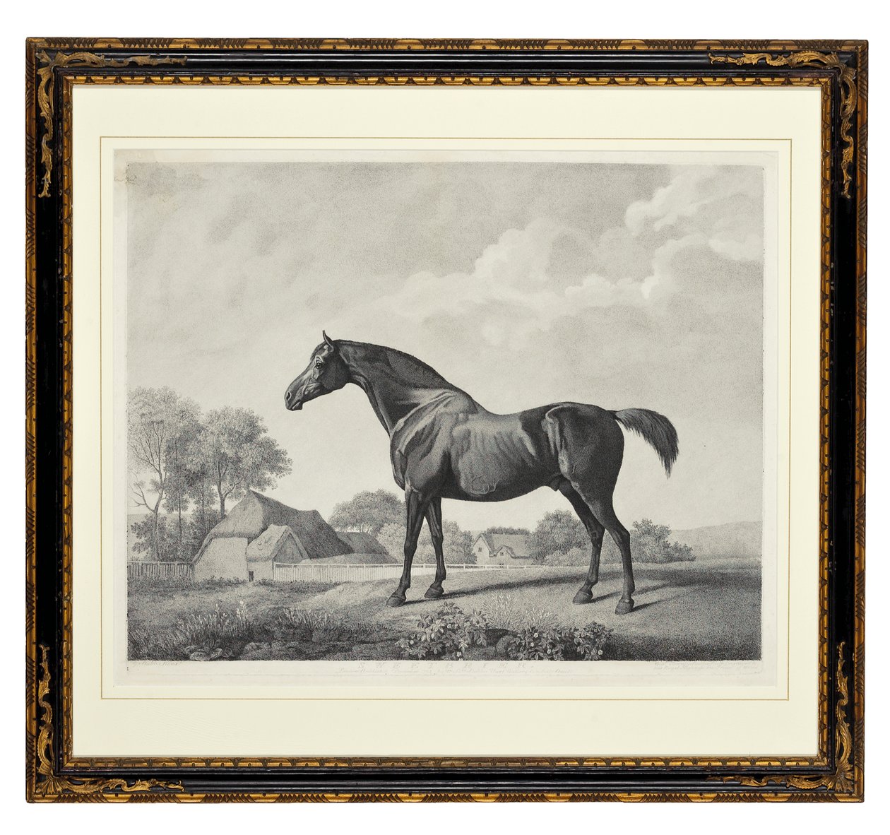 Sweetbrier (gravura pontilhada) de George Townley Stubbs