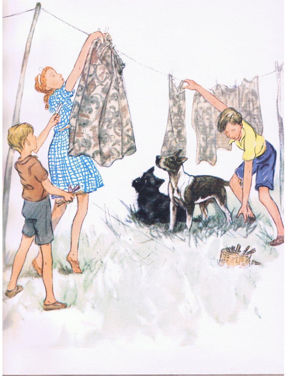 Pendurar a roupa no estendal - Nobby, o Bull terrier, e Ferdinand, o Aberdeen, de Pets Limited, publicado pela Collins de George Vernon Stokes