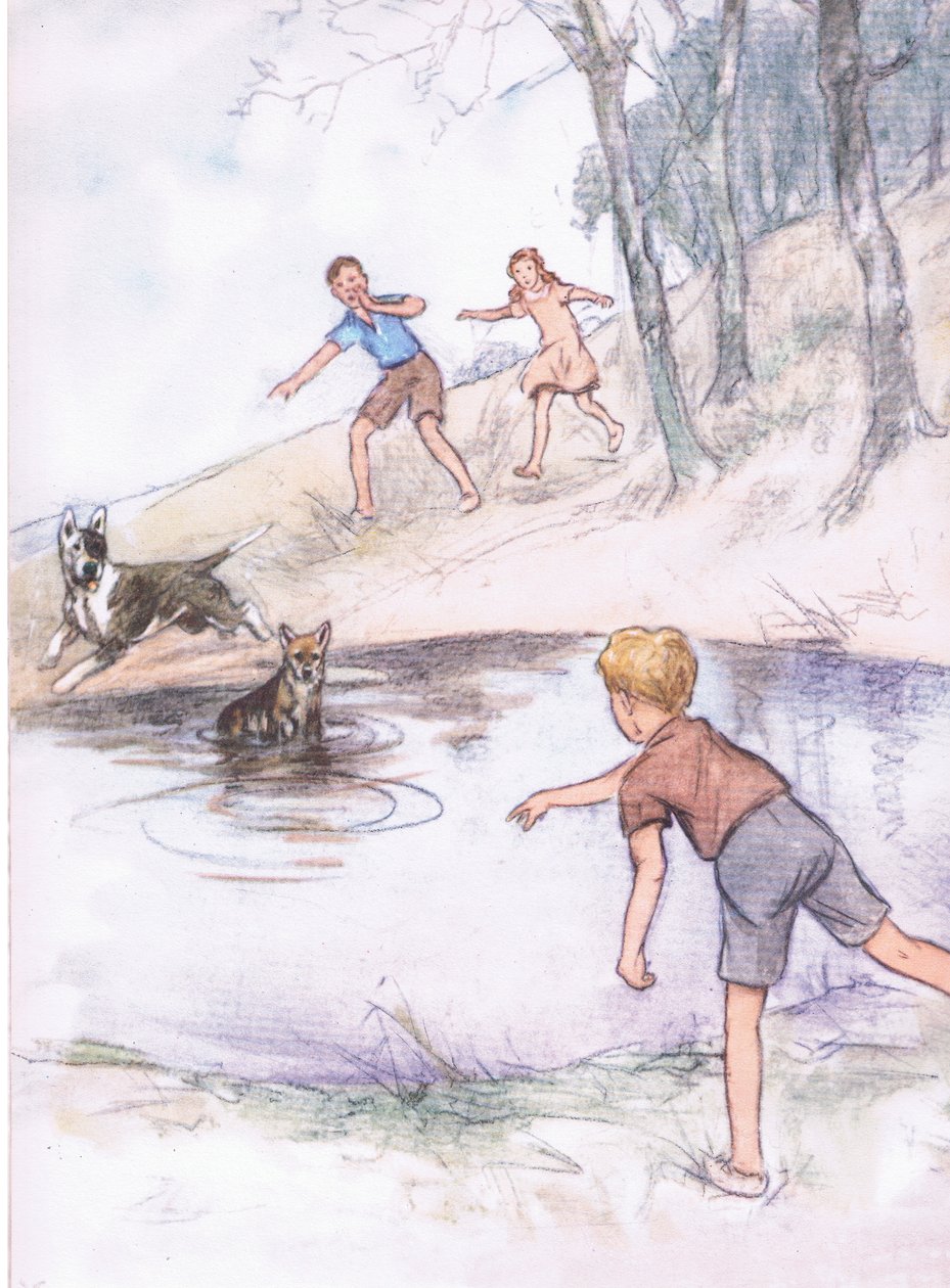 Na lagoa, de Pets Limited publicado pela Collins de George Vernon Stokes