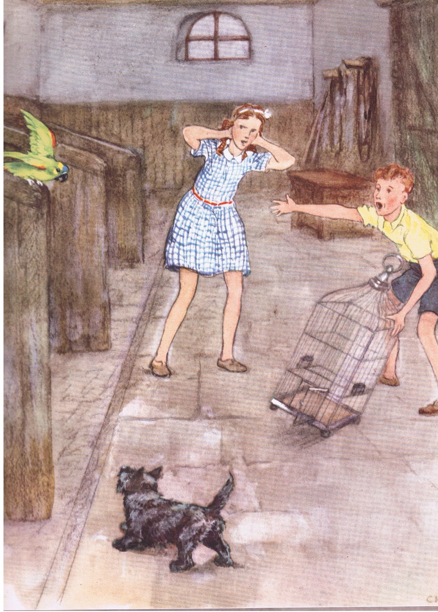O papagaio começou a dizer coisas grosseiras, de Pets Limited publicado por Collins de George Vernon Stokes