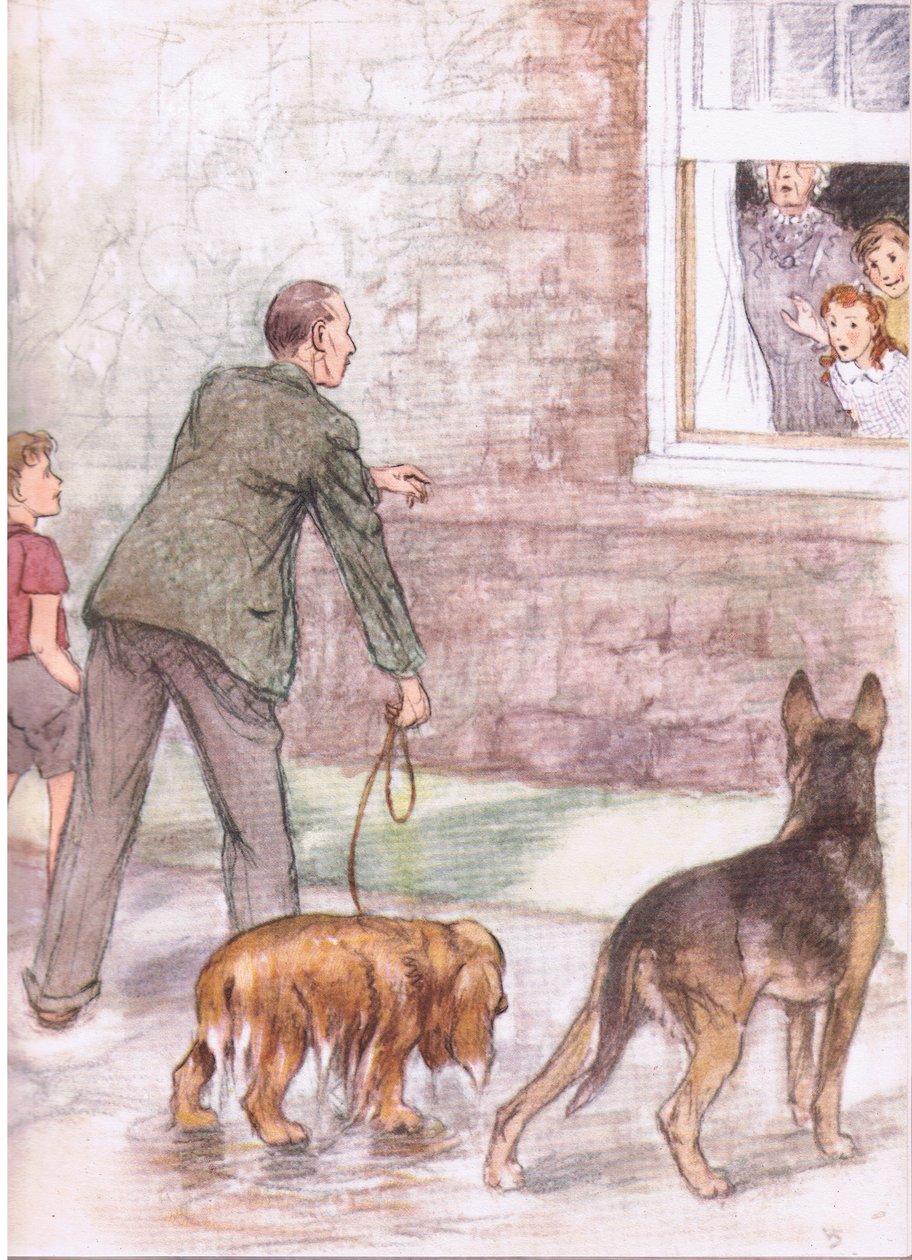 Os spaniels estavam a pingar lama e lodo, de Pets Limited publicado por Collins de George Vernon Stokes