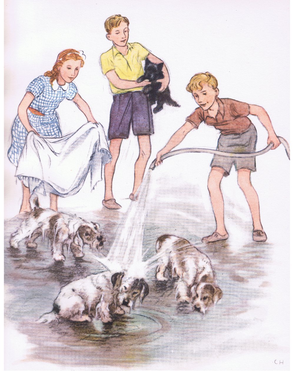 Lavar os cães, de Pets Limited publicado por Collins de George Vernon Stokes