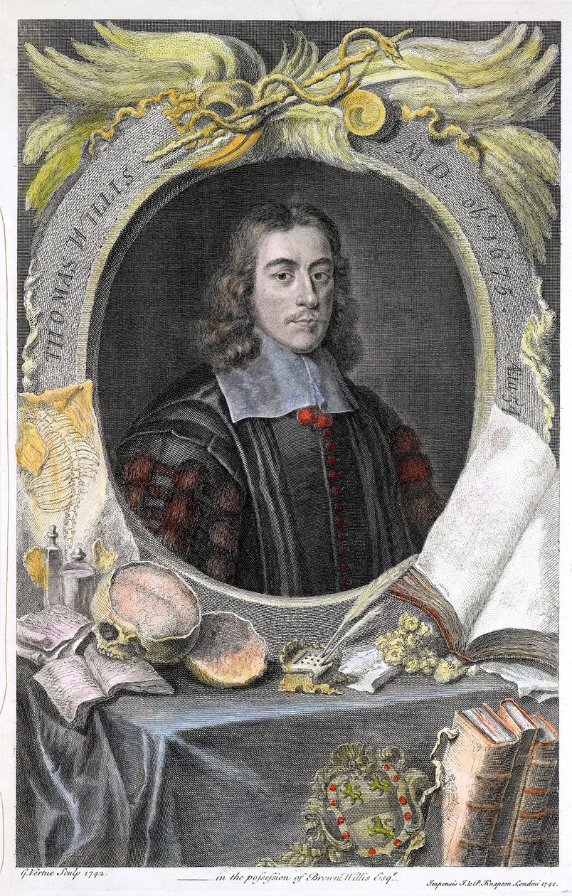 Retrato do médico inglês Thomas Willis (1622-1675), Thomas Willis (1621-1675), médico inglês, gravura colorida à mão do gravador inglês George Vertue. ©UIG/Leemage de George Vertue