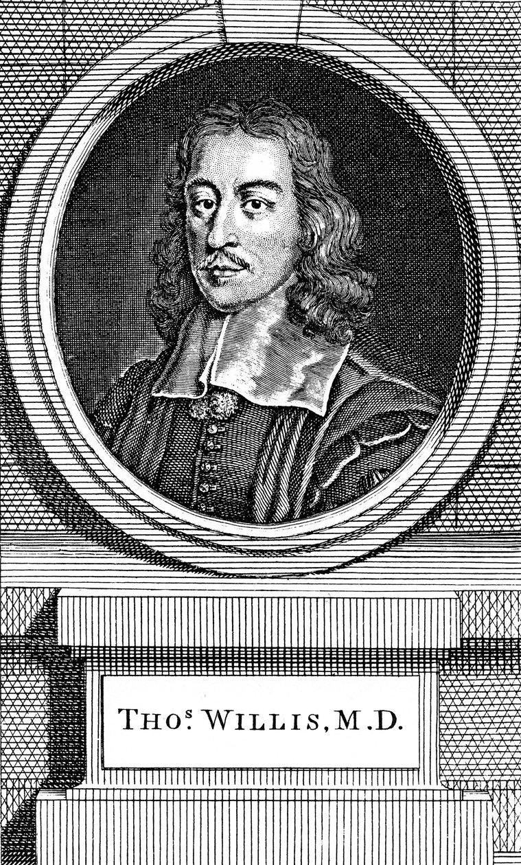 Thomas Willis, médico inglês do século XVII, 1742 de George Vertue