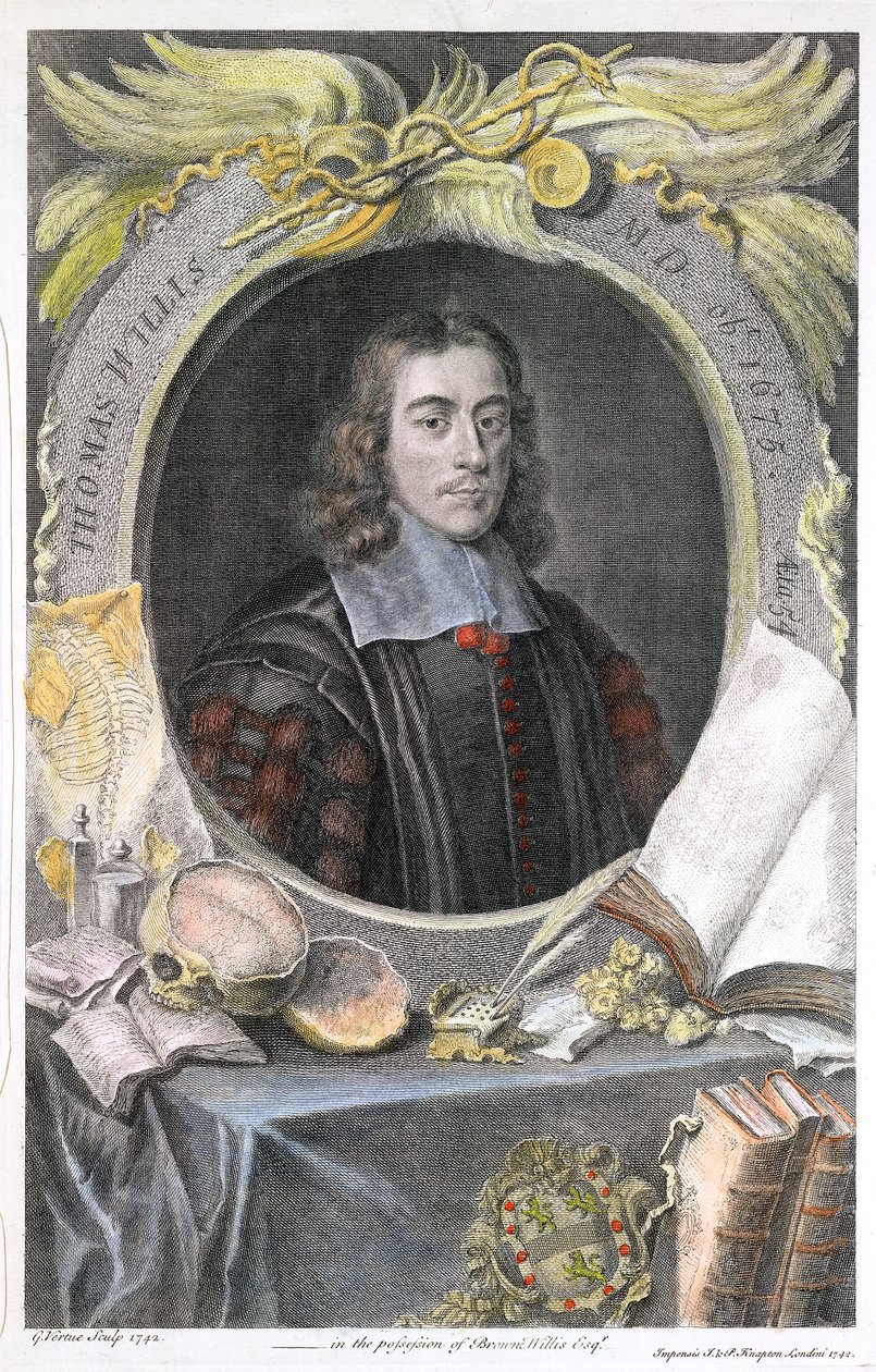 Thomas Willis, médico inglês do século XVII, 1742 de George Vertue