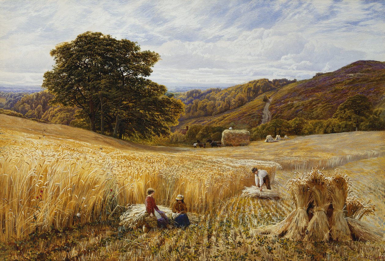 Época de colheita perto de Holmbury Hill, Surrey de George Vicat Cole