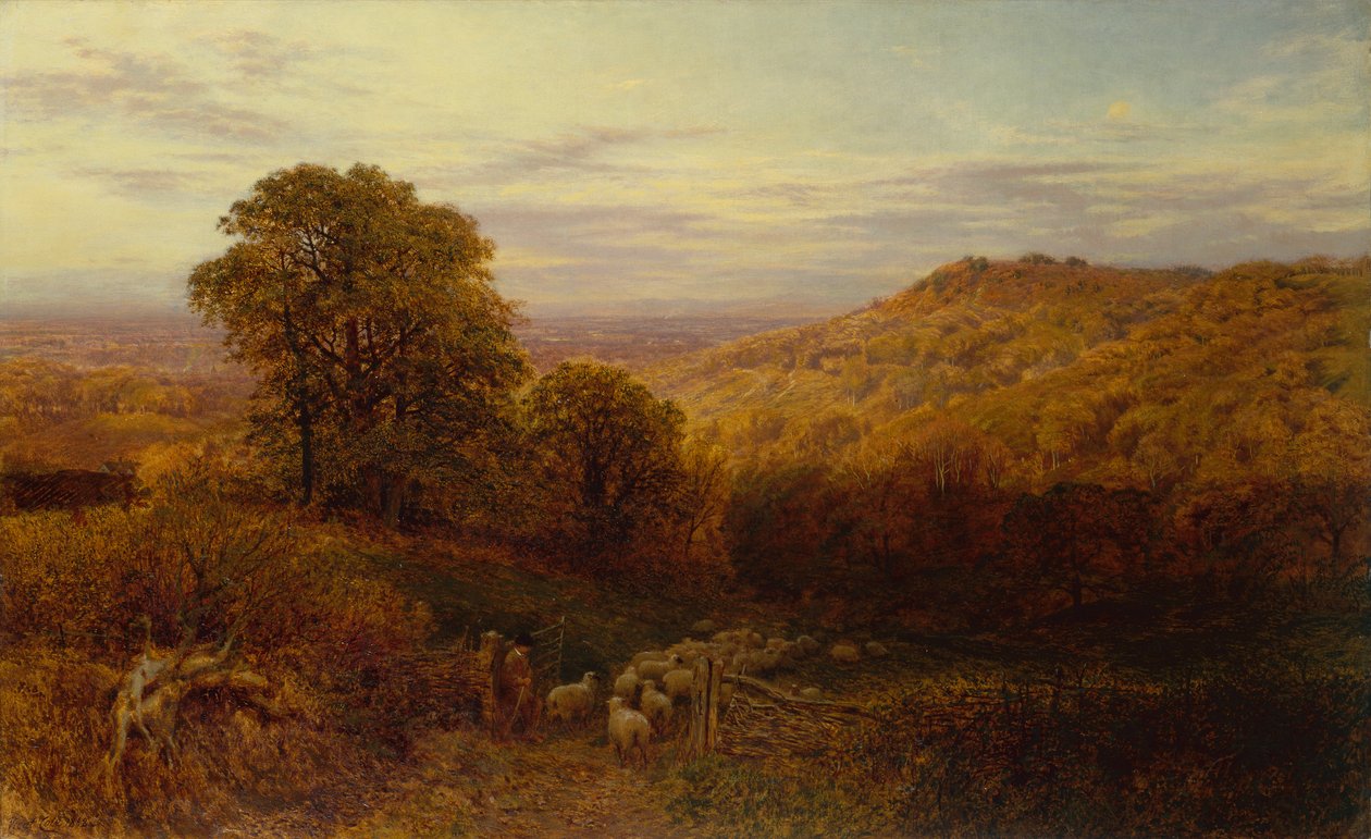 Sunlight Lingering on the Autumn Woods (óleo sobre tela) de George Vicat Cole