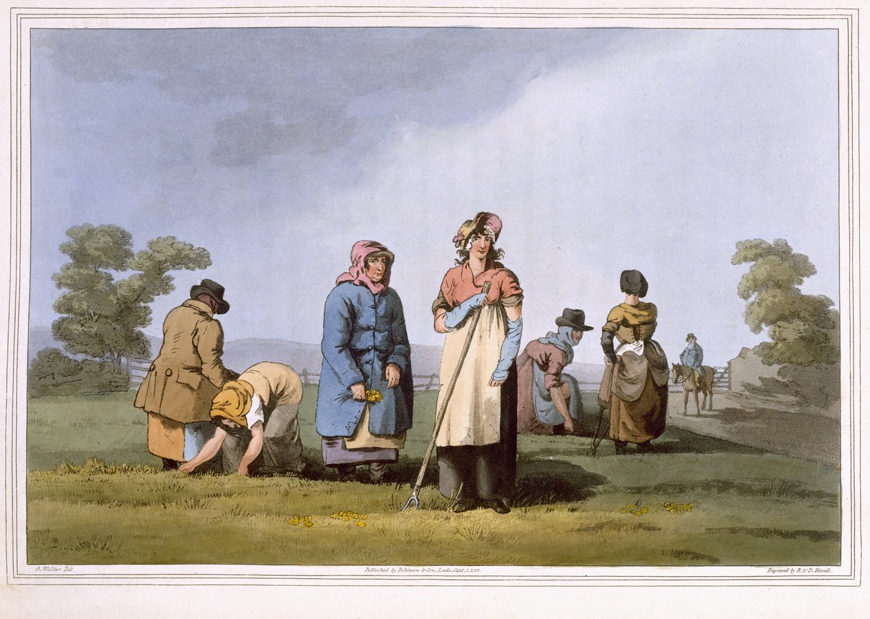 Lowkers, gravado por Robert Havell, o Velho, publicado em 1814 por Robinson and Son, Leeds de George Walker
