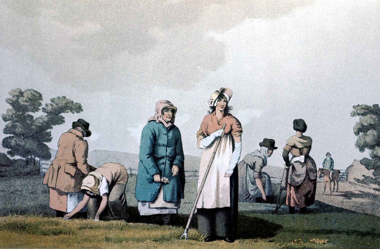 Lowkers - mulheres que capinaram milho, 1814 de George Walker of Seacroft