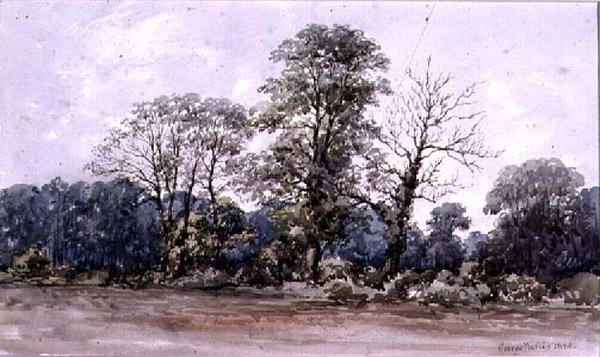 Árvores no Perry Bar perto de Birmingham, século XIX de George Augustus Wallis