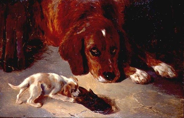 Um Cachorro Inquisitivo (tábua) de George Wiliam Horlor