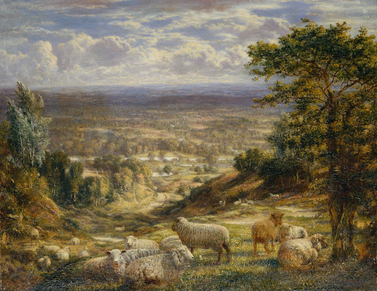 Uma paisagem de verão com ovelhas de George William Mote