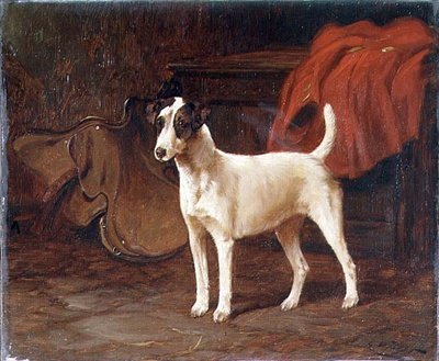 Um Jack Russell em pé numa sala de jogos de George Wright