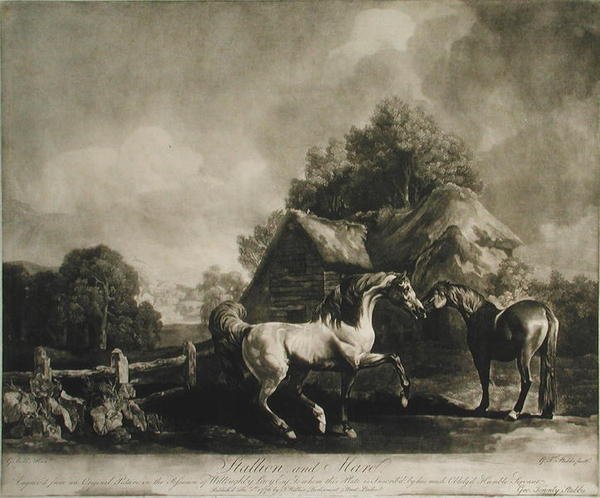 Garanhão e Mare, gravado por George Townley Stubbs (1756-1815) 1776 (mezzotint) de George after Stubbs