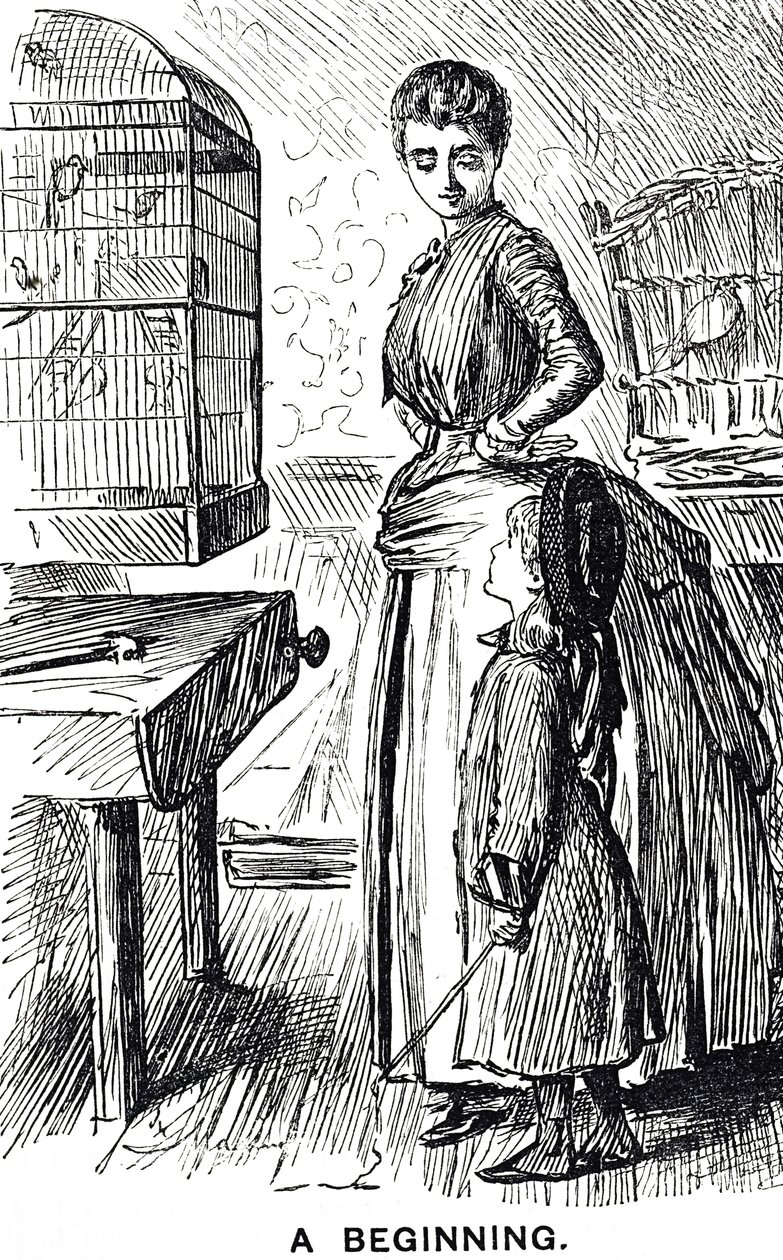Comentário de banda desenhada sobre a popularidade das aves engaioladas na Grã-Bretanha de George du Maurier