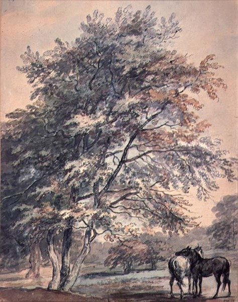 Árvores e Cavalos, do século XVIII de George the Elder Barret