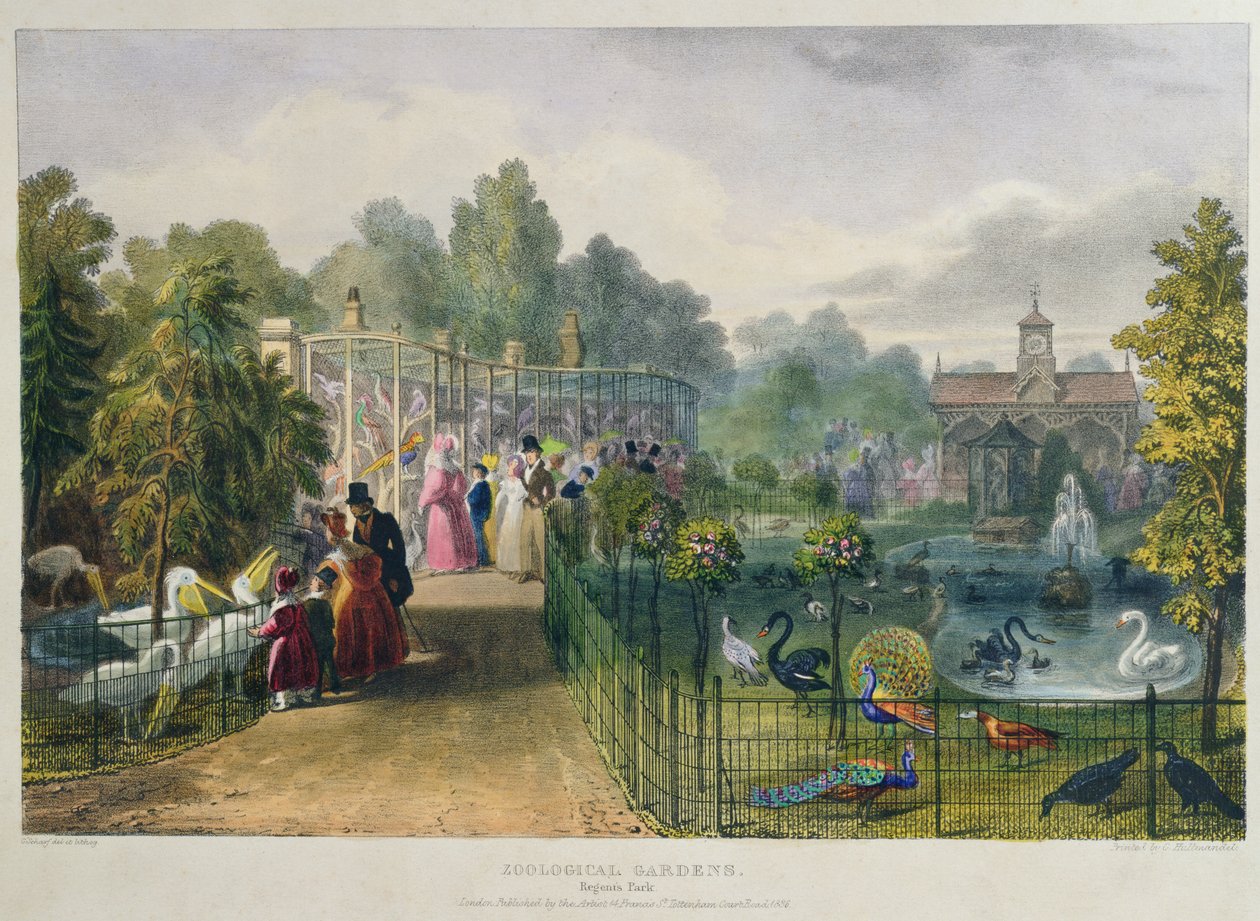O Aviário no Jardim Zoológico, Regents Park, gravado e pub. pelo artista, impresso por Charles Hullmandel (1789-1850), 1836 de George the Elder Scharf