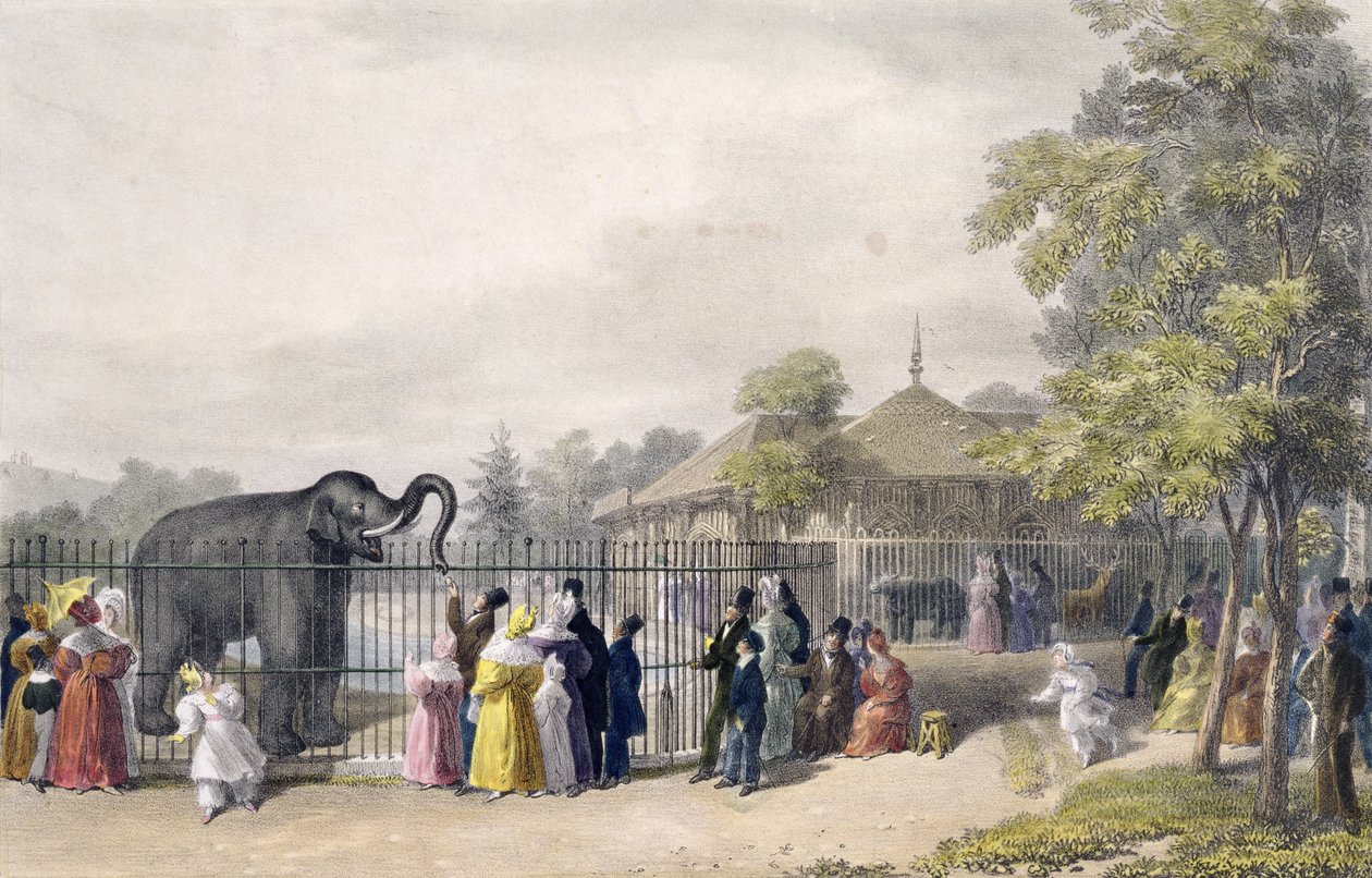A Casa do Elefante no Jardim Zoológico, Regent&39;s Park, gravado e pub. pelo artista, impresso por Charles Hullmandel (1789-1850), 1835 de George the Elder Scharf
