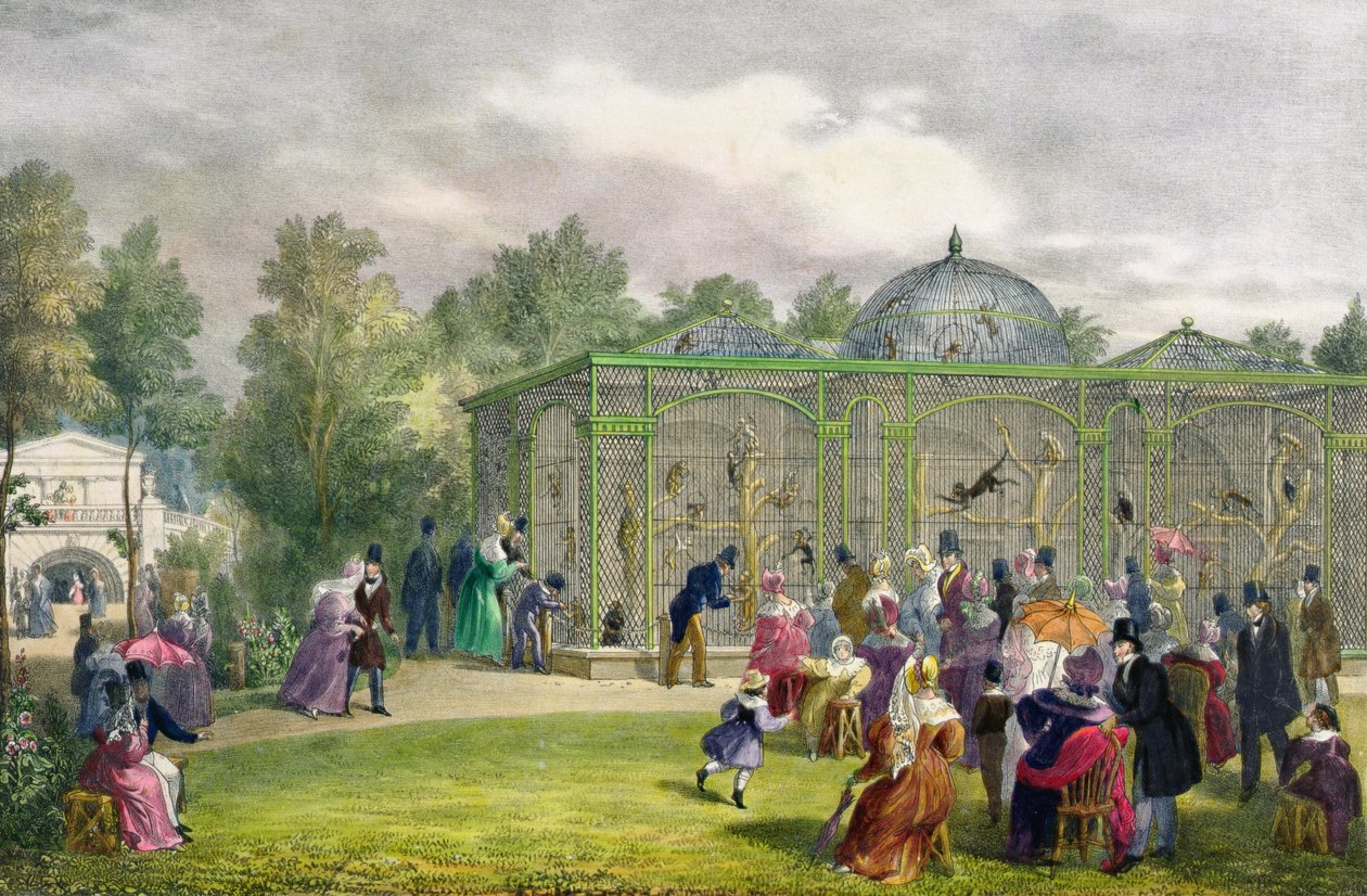 A Casa dos Macacos no Jardim Zoológico, Regent&39;s Park, gravada e pub. pelo artista, impresso por Charles Hullmandel (1789-1850), 1835 de George the Elder Scharf