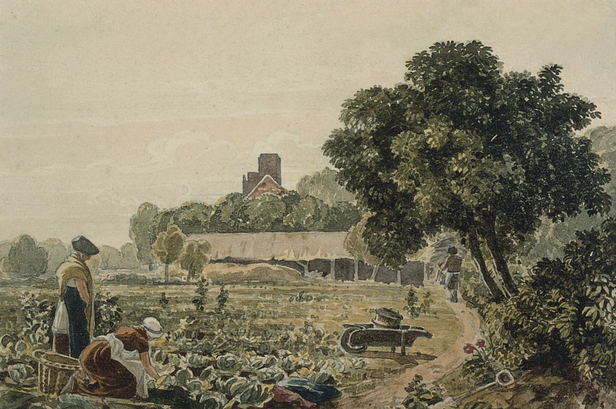 Market Garden no Chelsea de George the Younger Barret
