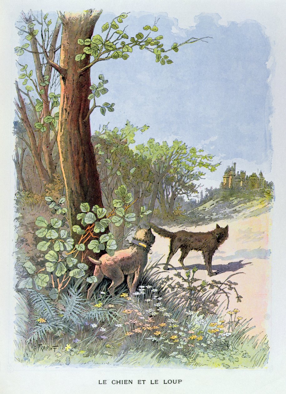 O Cão e o Lobo, de &39;Fábulas Selecionadas da Fonte&39; de Jean de La Fontaine (1621-95), publicado pela Reunies Bookstores (gravura colorida) de Georges Fraipont