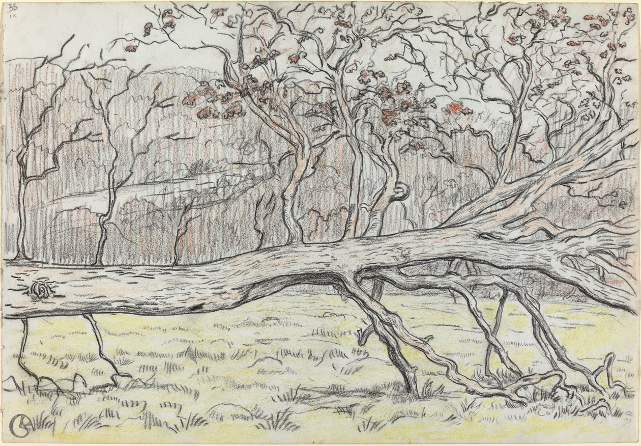 Árvore derrubada, Normandia de Georges Lacombe