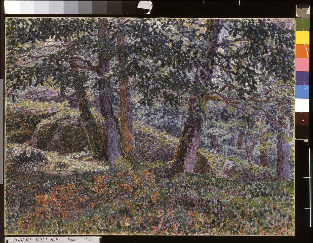 Carvalhos e arbustos de mirtilo (óleo sobre tela) de Georges Lacombe