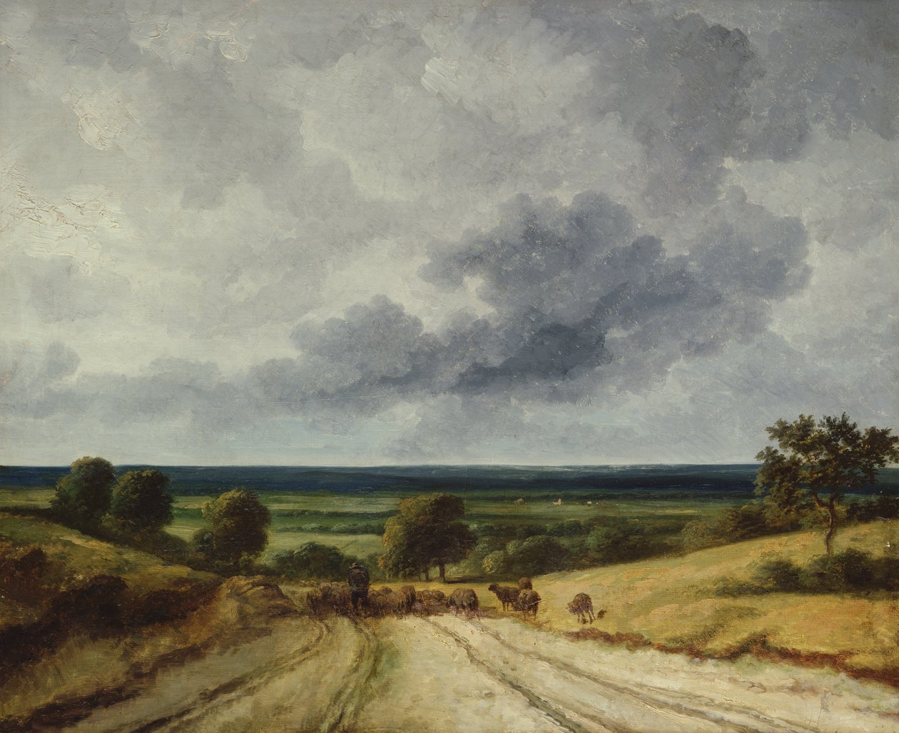 Estrada no país de Georges Michel