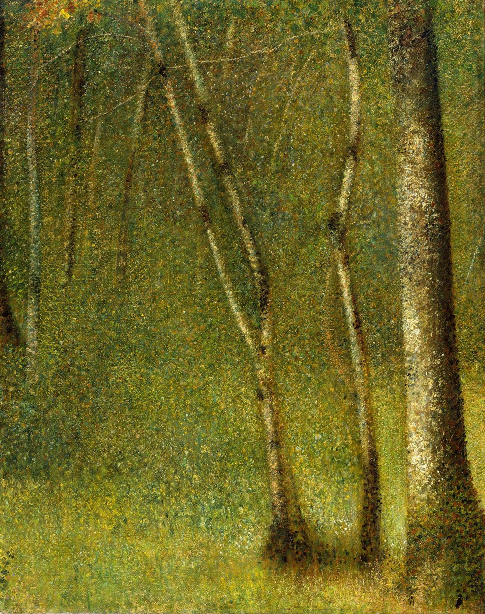 A floresta em Pontaubert, 1881. de Georges Pierre Seurat