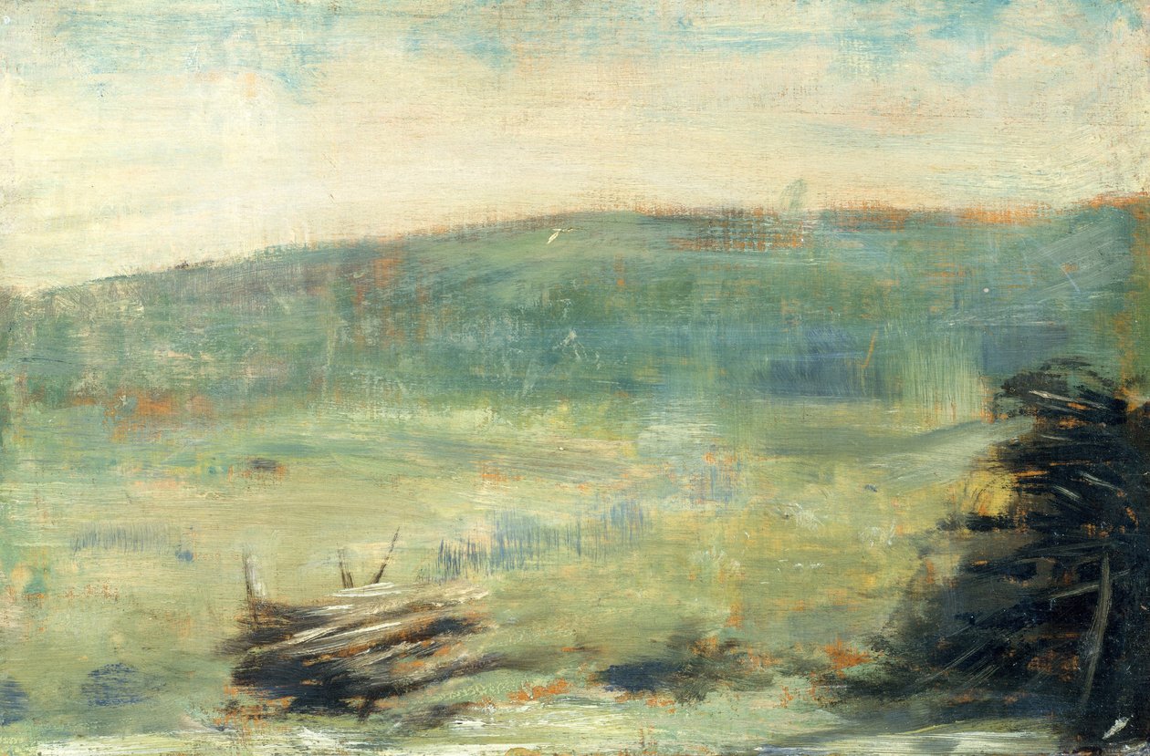 Paisagem em Saint-Ouen, 1878-79 (óleo sobre madeira) de Georges Seurat