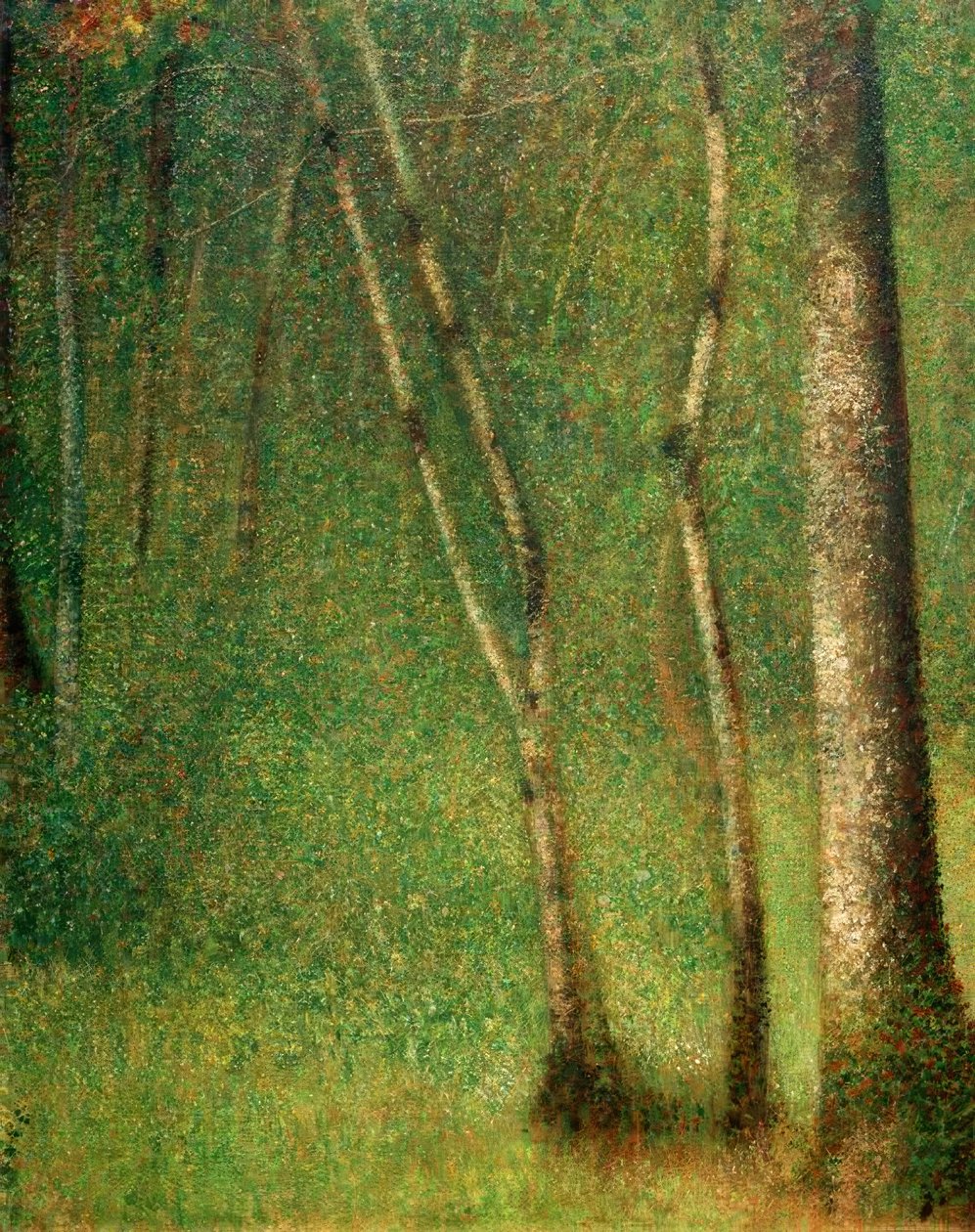 Mato em Pontaubert (Wald em Pontaubert) de Georges Seurat