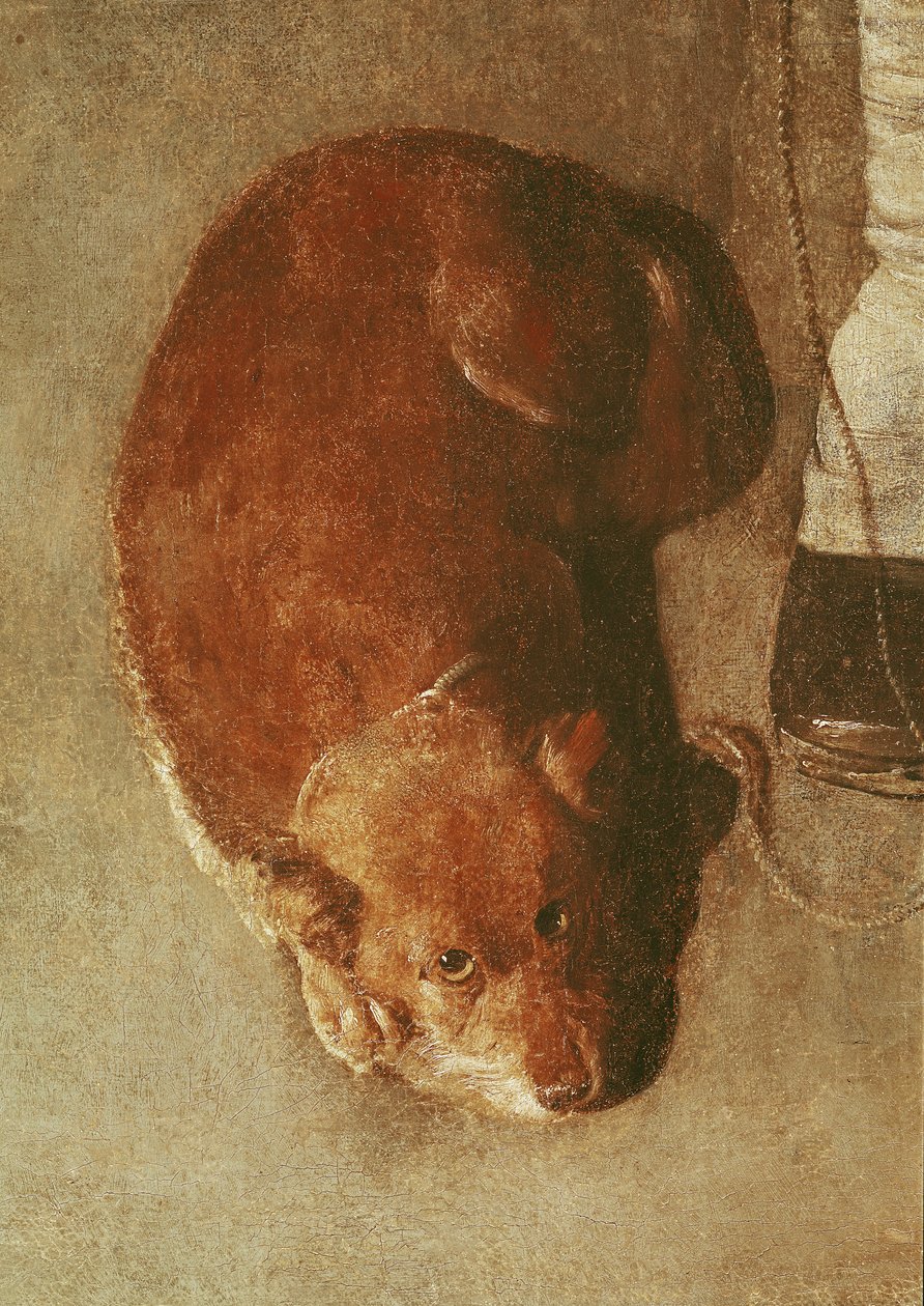 O jogador Hurdy Gurdy com seu cachorro, c.1620 (detalhe) (ver também 67918) de Georges de La Tour
