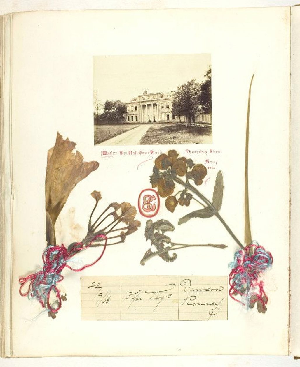 Sem título [vista de Broadlands com flores secas], 1868. de Georgina Cowper