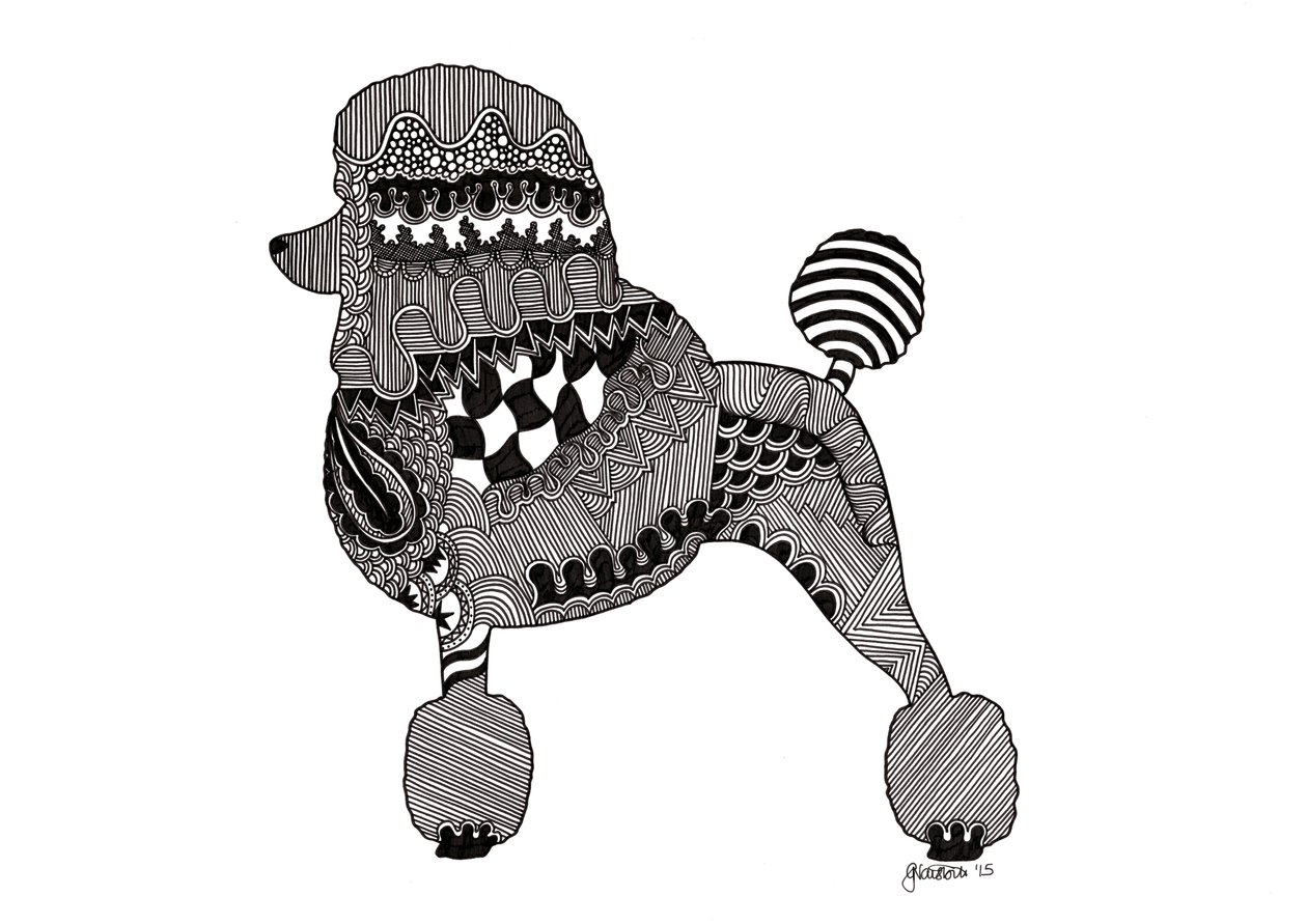 Caniche, 2015 (tinta sobre cartão de bristol) de Georgina Naisbitt