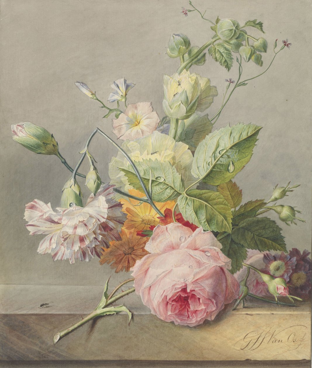 Floral Still Life, c.1800-25 (wc e lápis sobre papel) de Georgius Jacobus Johannes van Os