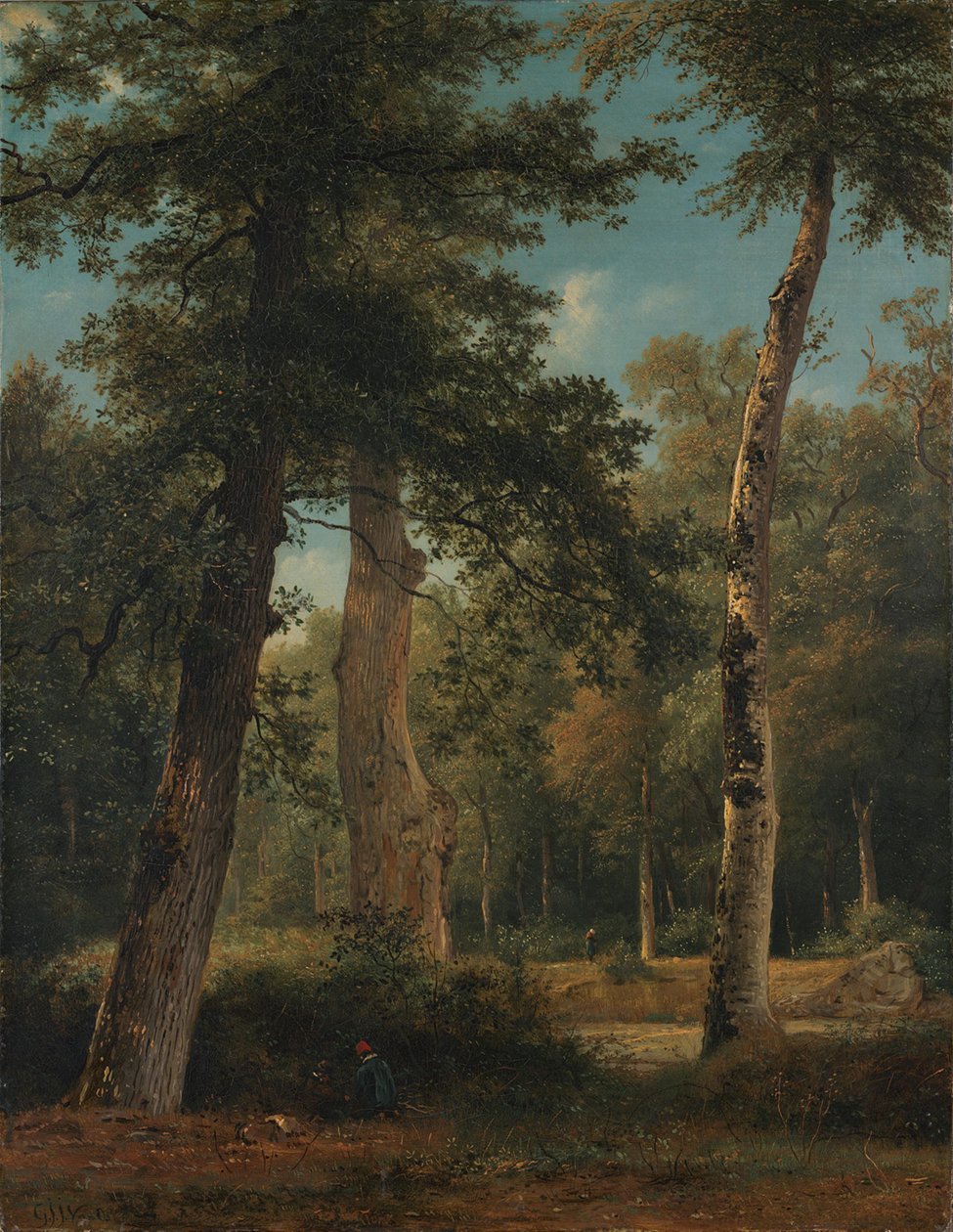 Uma floresta em Fontainebleau de Georgius Jacobus Johannes van Os