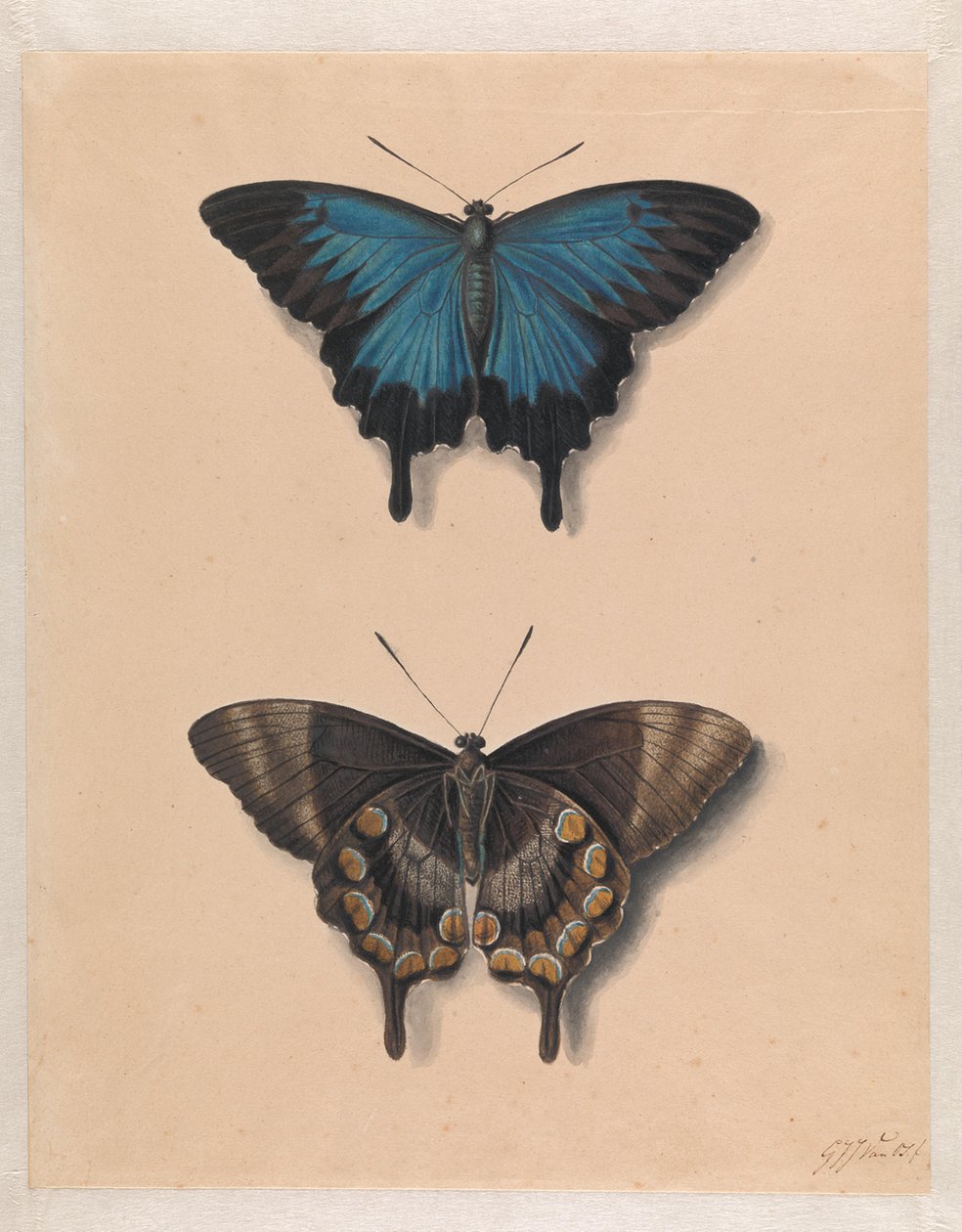 Duas capelas de Georgius Jacobus Johannes van Os