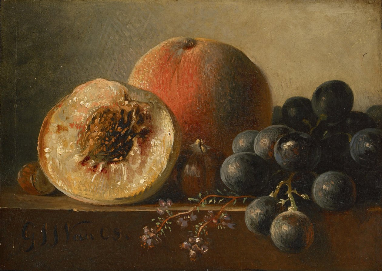 Frutos de Georgius Jacobus Johannes van Os