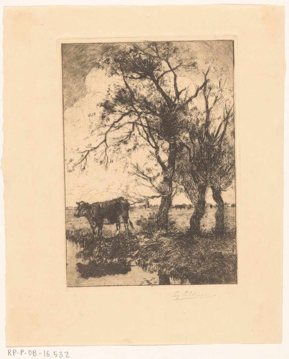 Vaca na beira-mar de Gerard Altmann (signed by artist)