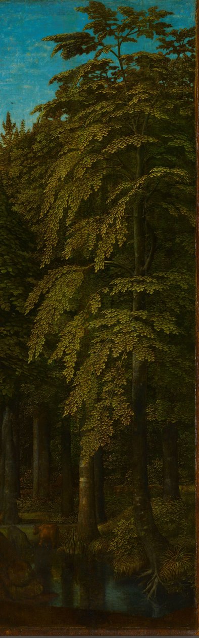 Äußere rechte Flügel eines Triptychons mit Blick in einen Wald de Gerard David