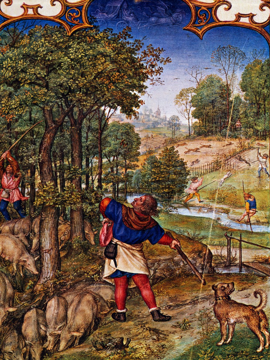 Mês de Novembro, Recolhendo bolotas e caça à lebre, miniatura do Breviário Grimani, com miniatura de Gerard Horenbout (ca. 1465 antes de 1541), Alexander e Simon Bening (1483-1561), bacalhau Lat I, 99 f 11v, Holanda de Gerard Horenbout