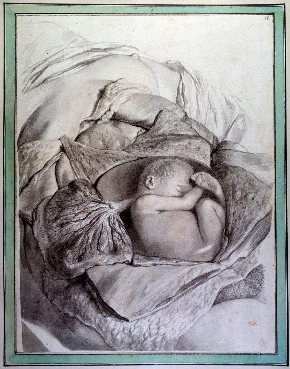 Representação de um feto de um ser humano numa gravura do útero de Gerard de Lairesse (1640-1711) ilustrando a "Anatomia Humani Corporis" do Governo Bidloo (ou Govard) (1649-1713) Biblioteca do século XVIII da Faculdade de Medicina, Paris de Gerard de Lairesse